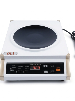 Commercial Induction Cooker – AS-ICP01